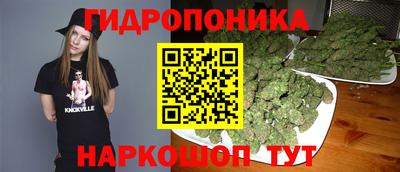a pvp Шебекино