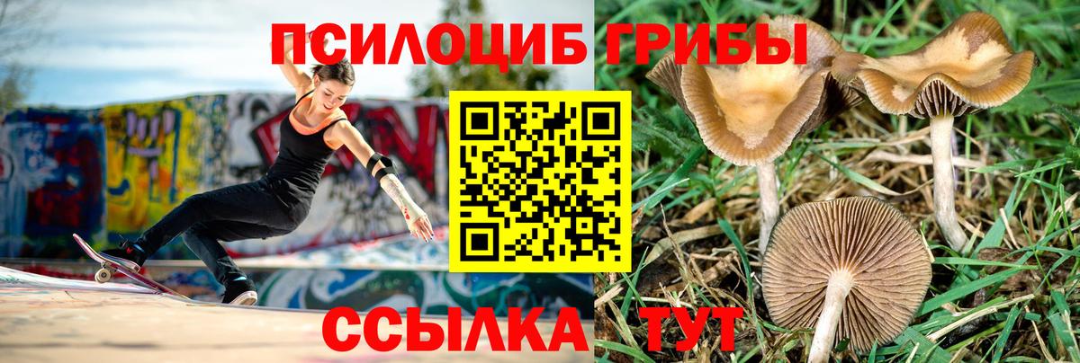 Псилоцибиновые грибы Psilocybe  Вход с VPN  Самара 