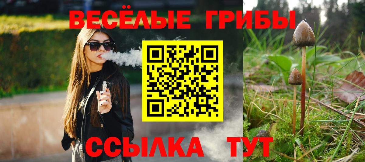 Псилоцибиновые грибы мицелий Самара